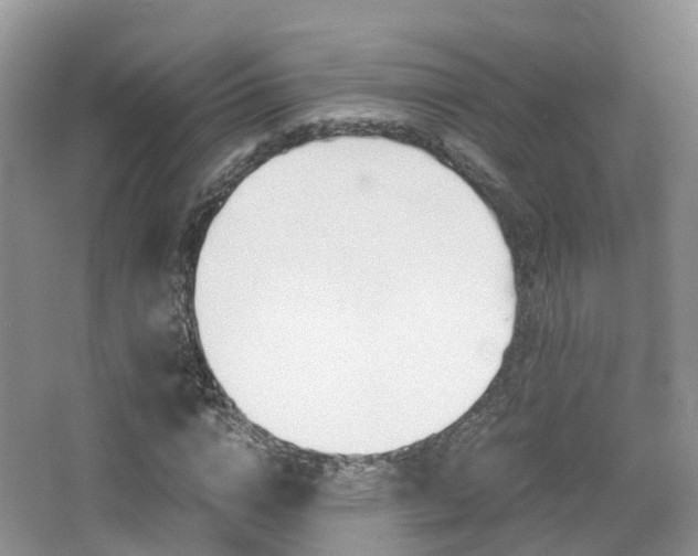 X0000065240824200602170952