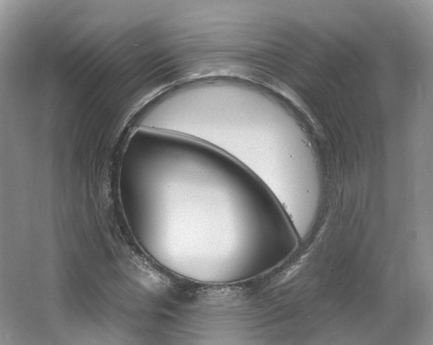 X0000065240826200602170952