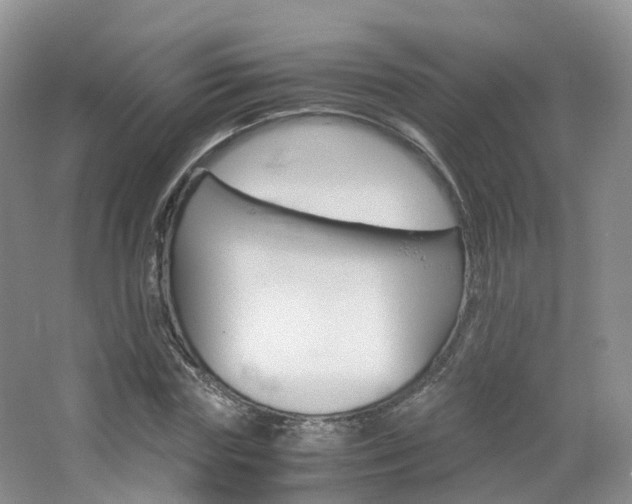 X0000065240827200602170952