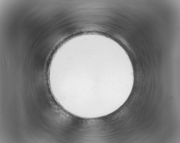 X0000065240832200602170952