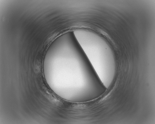 X0000065240833200602170952