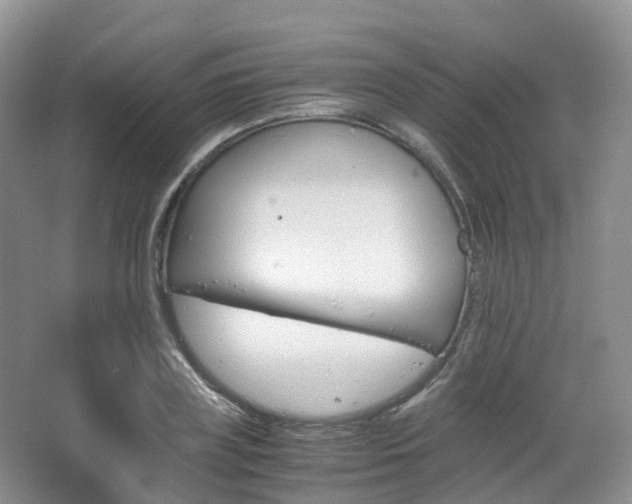 X0000065240835200602170952