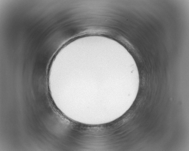 X0000065240836200602170952