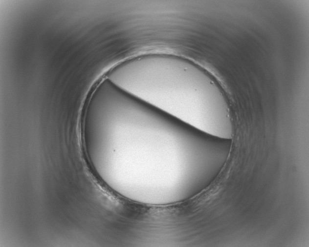 X0000065240840200602170952