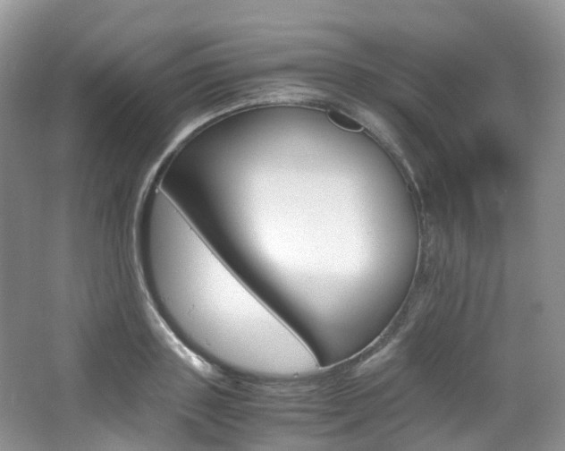 X0000065240843200602170952