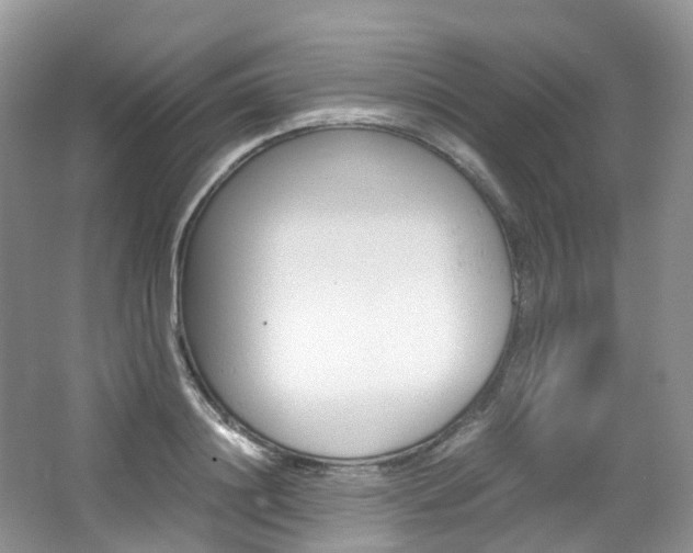 X0000065240844200602170952