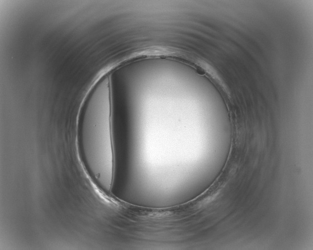 X0000065240845200602170952