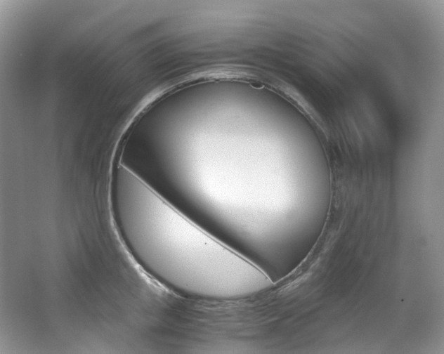 X0000065240853200602170952