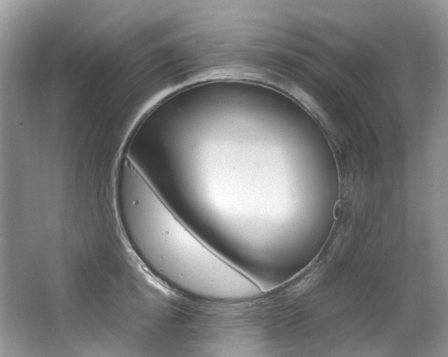 X0000065240854200602170952