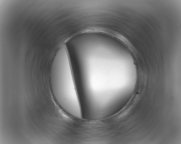X0000065240857200602170952