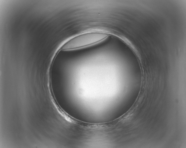 X0000065240862200602170953