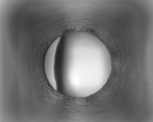 X0000065240865200602170952