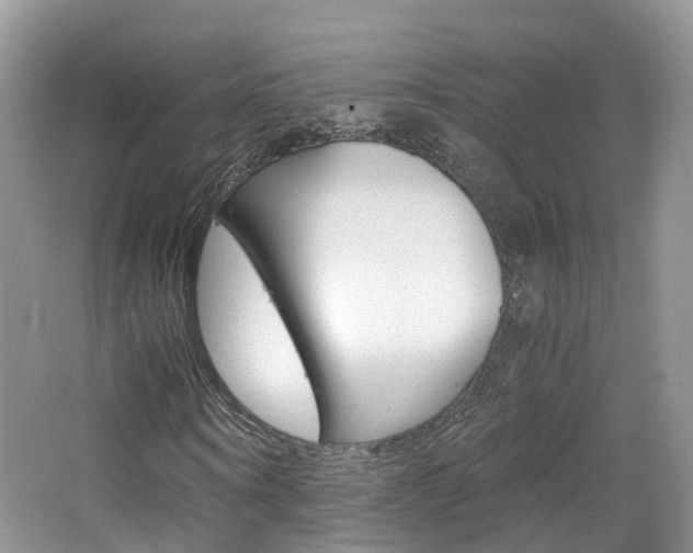 X0000065240866200602170952