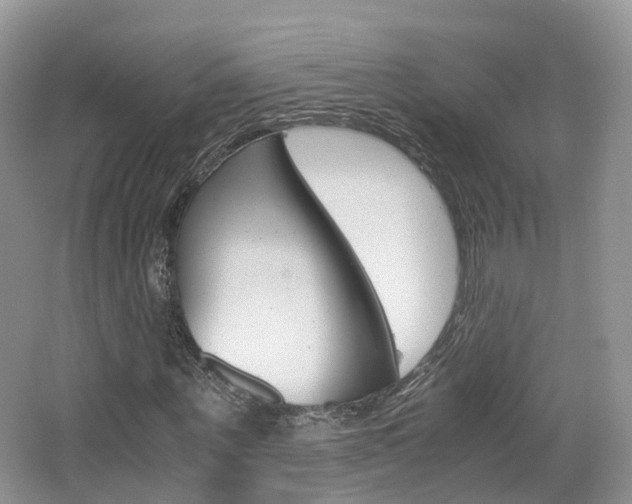 X0000065240867200602170952
