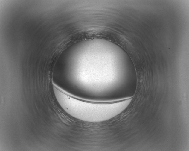 X0000065240868200602170952