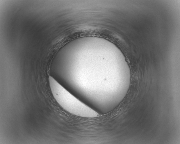 X0000065240869200602170952