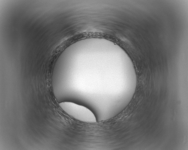 X0000065240870200602170952