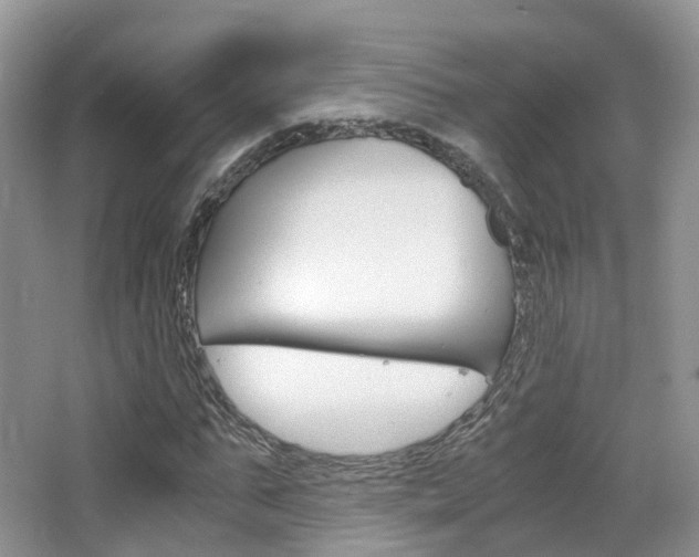 X0000065240871200602170952