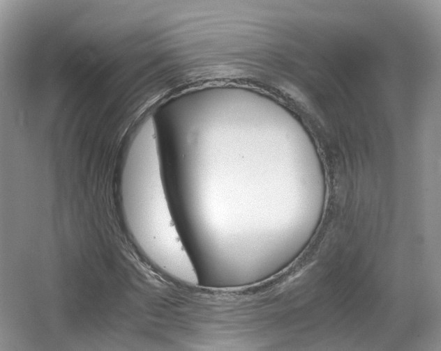X0000065240873200602170952