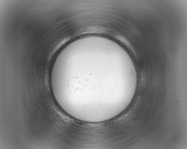 X0000065240874200602170952