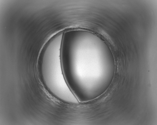 X0000065240876200602170952