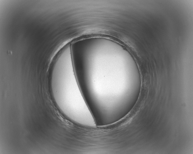 X0000065240877200602170952