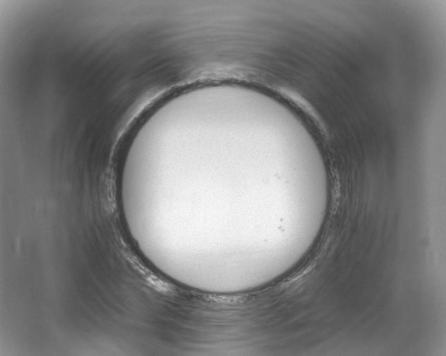 X0000065240878200602170952