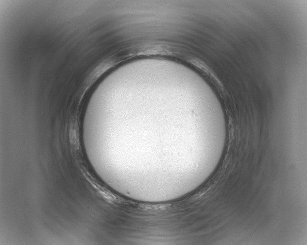 X0000065240882200602170951