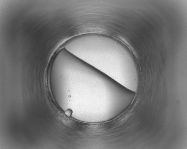 X0000065240883200602170951