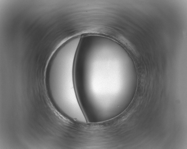 X0000065240884200602170951