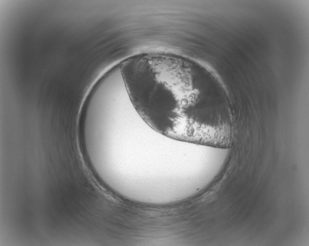 X0000065240887200602170951