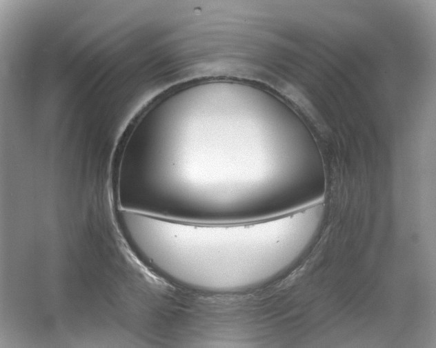X0000065240888200602170951