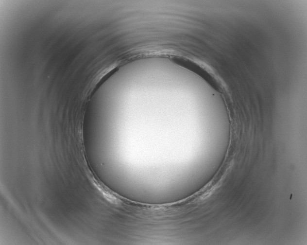 X0000065240897200602170951