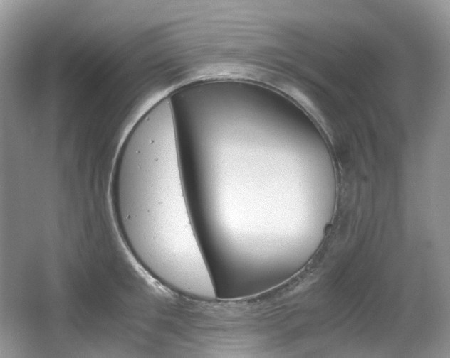 X0000065240901200602170951