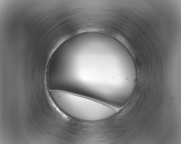 X0000065240906200602170951