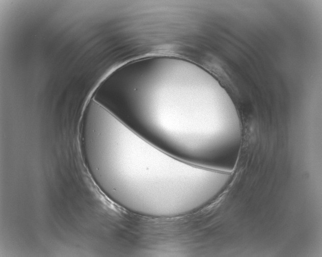 X0000065240908200602170951