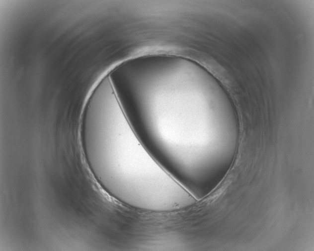 X0000065240912200602170951