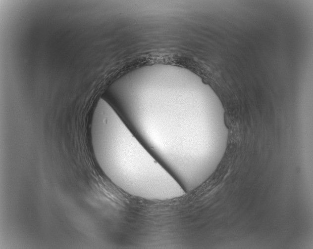 X0000065240913200602170950