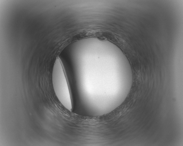 X0000065240914200602170950