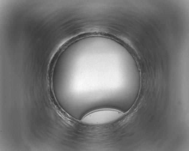 X0000065240927200602170950