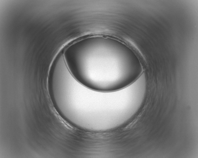 X0000065240932200602170950