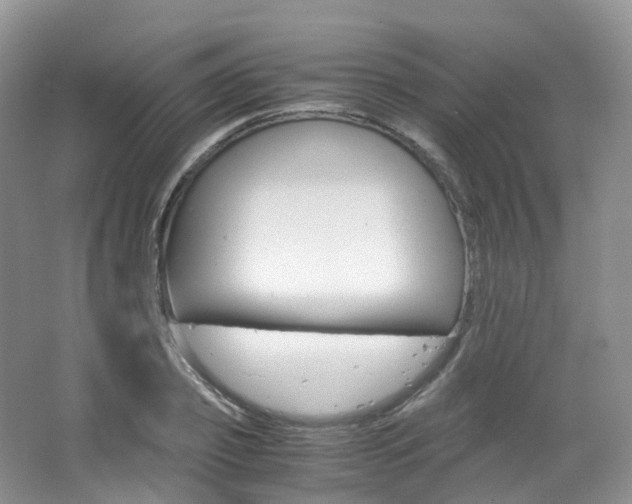X0000065240933200602170950