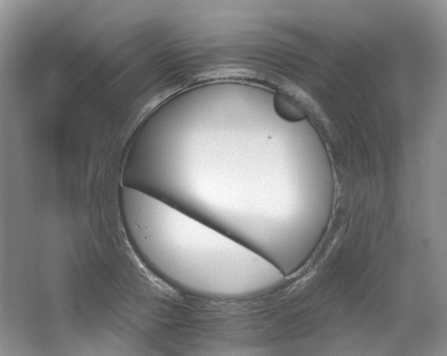 X0000065240937200602170951