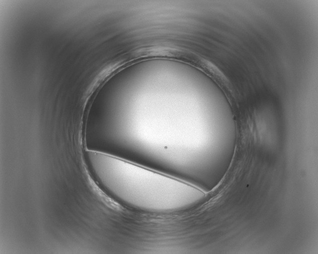 X0000065240938200602170951