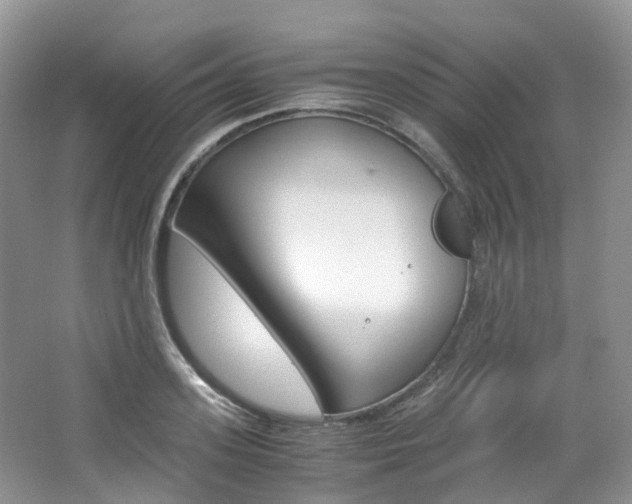X0000065240939200602170951