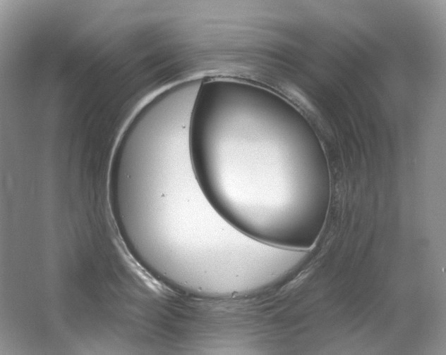 X0000065240940200602170951