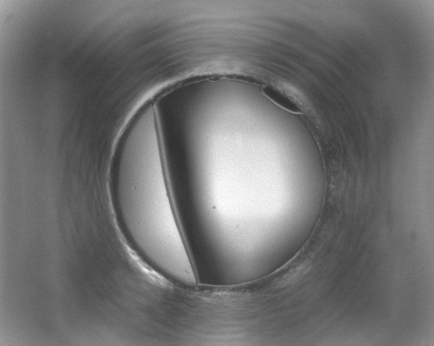 X0000065240942200602170951