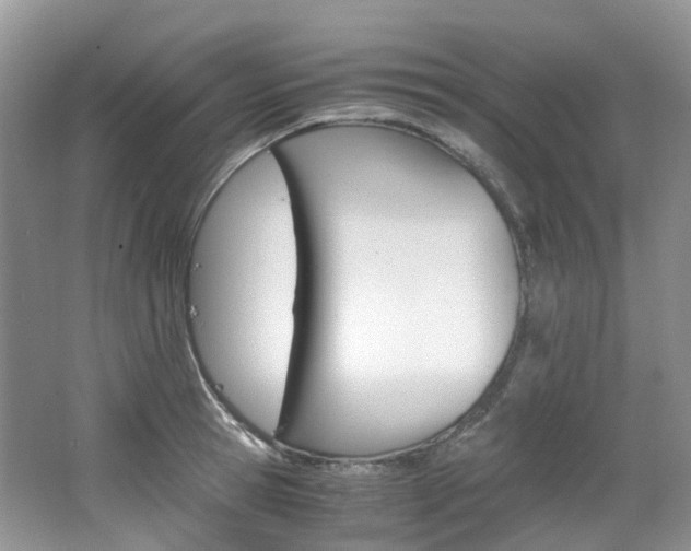 X0000065240945200602170951