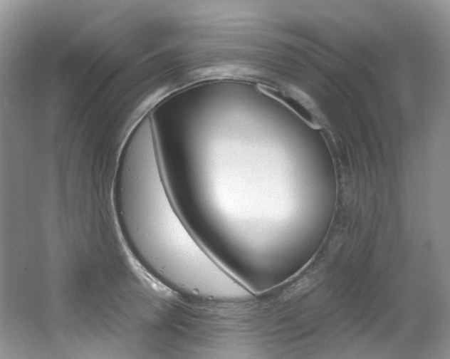 X0000065240946200602170951