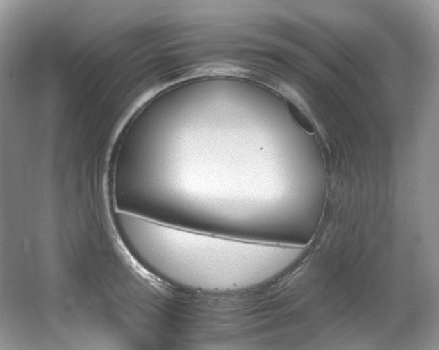 X0000065240947200602170951